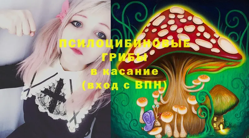 купить  цена  Кадников  Галлюциногенные грибы Psilocybe 