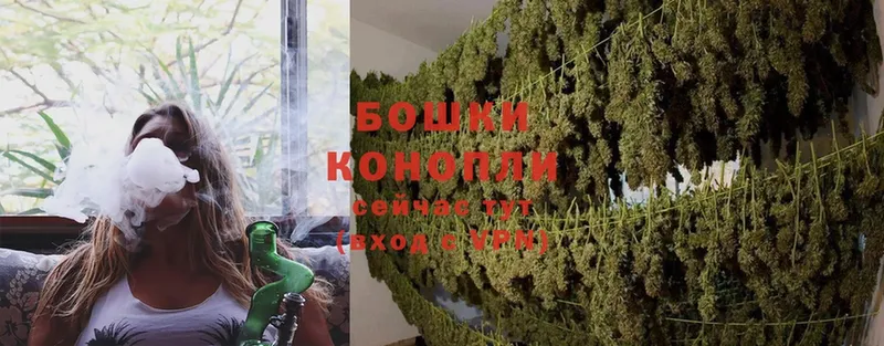 Конопля Ganja  Кадников 